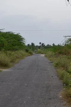 View of a long road Stock Photos