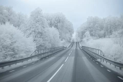 View of a long road surrounded by snow-covered trees on a winter day Stock Photos