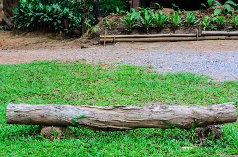 View of long timber Stock Photos