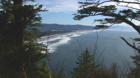 View of long timbered coastline Stock Footage 60407589