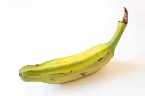 View looking down on half ripe Burro banana, also Orinoco, Bluggoe, Horse Stock Photos