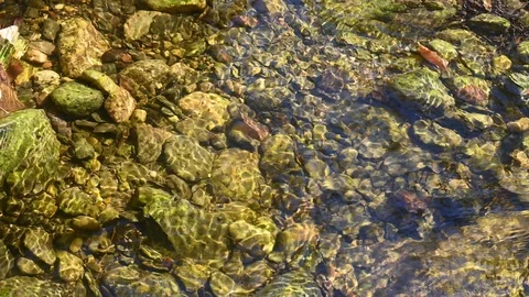 View looking down of the rocks and pebbles on the bottom of a small stream  Stock Footage 118152931