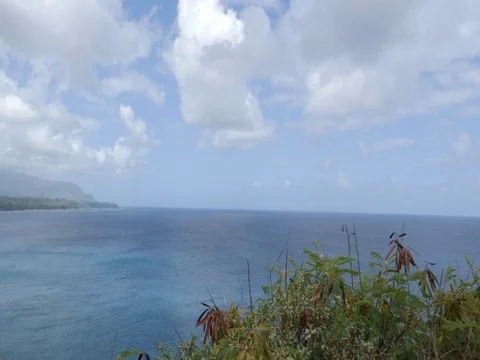 View looking north from Kilauea Light Stock Footage 80382899