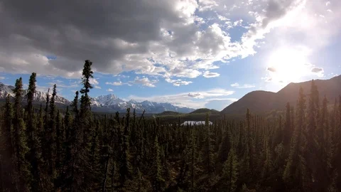 View looking over top of Alaskan trees toward valley Video stock 113666299