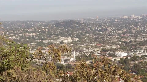 View of Los Angeles Higher Class Neighborhood Stock Footage 51497826