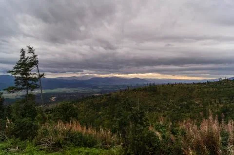 View of low tatras Foto stock