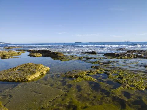 View of the low tide from the coast 스톡 사진