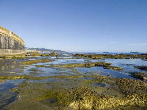 View of the low tide from the coast Stockfoto's