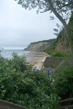 View of Luccombe Beach Below Cliffs  on the Isle of Wight Stock Photos
