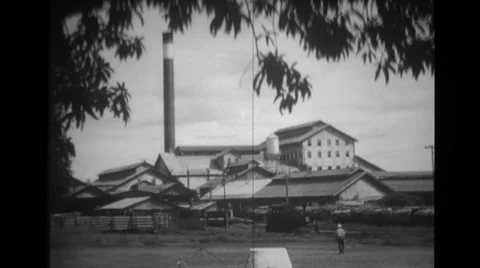 View of a lumber factory Stock Footage 37595318