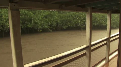 View of the Lush Amazon Rain Forest and River 스톡 동영상 19037374