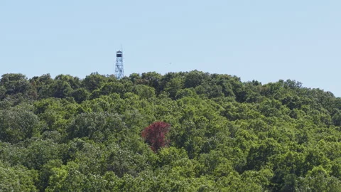 View Of Lush Forests And The Devil's Knob Fire Tower In Ozark National Forest Stock Footage 328071240