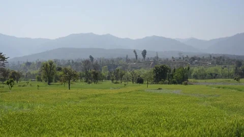 View of lush green fields and distant mountains in Nepal. Vídeo Stock 335606353