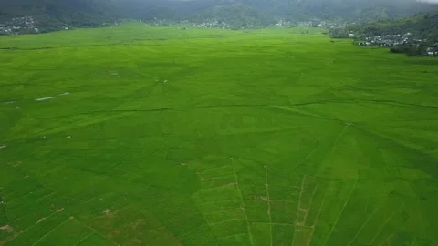 A view of the lush green 스톡 동영상 346481194