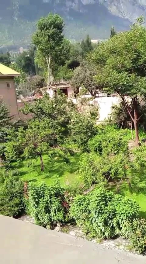 View of a lush green garden with trees and a building in the background on a sun Stock Footage 315684061