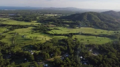 A view of a lush green hillside Stock Footage 156338277