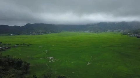 A view of the lush green Lingko spiderweb rice fields on Flores Island, East Video stock 346481138
