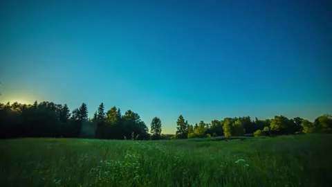 View of a lush green meadow with surrounding forest in Riga, Latvia. Stock Footage 341454227