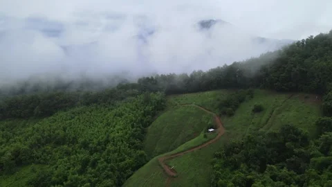 View of lush green mountain range covered in morning mist and fog Stock-Footage 308230742