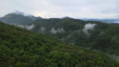 View of lush green mountain range covered in morning mist and fog Stock Footage 308230775
