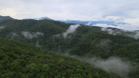View of lush green mountain range covered in morning mist and fog Stock Footage 308230781