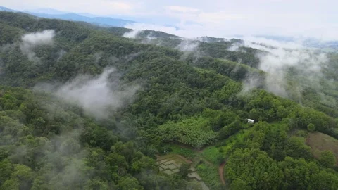 View of lush green mountain range covered in morning mist and fog Stock Footage 308230782