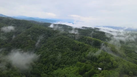 View of lush green mountain range covered in morning mist and fog Stock Footage 308230795