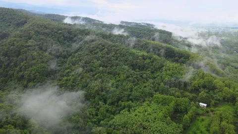 View of lush green mountain range covered in morning mist and fog Stock Footage 308230797