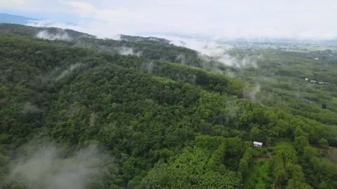 View of lush green mountain range covered in morning mist and fog Stock Footage 308230800
