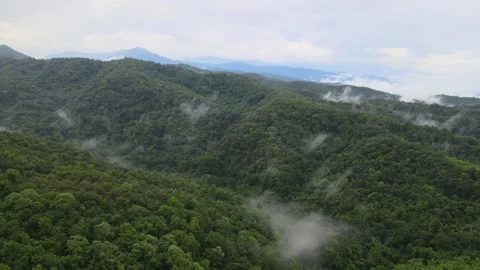 View of lush green mountain range covered in morning mist and fog Stock Footage 308230808