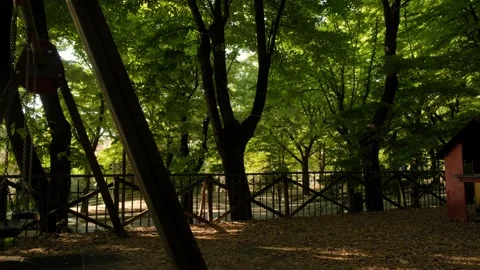 View of Lush Green Trees with Flowing Traffick from PlayPark, Umbrian cityscape Stock Footage 306372456