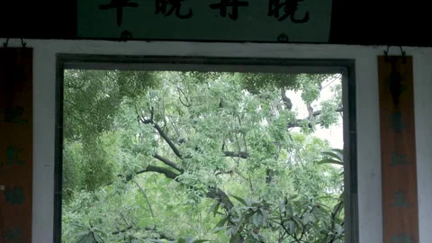 View of Lush Greenery Through a Window in Humble Administrators Garden Suzhou Stock Footage 337891693