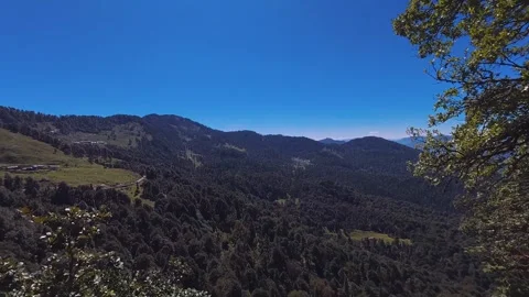 View of Lush Pine Forests and Rolling Mountains near Chopta, Uttarakhand, India Stock Footage 325809134