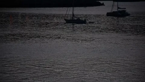 View of Madeira at dawn 스톡 동영상 245376157