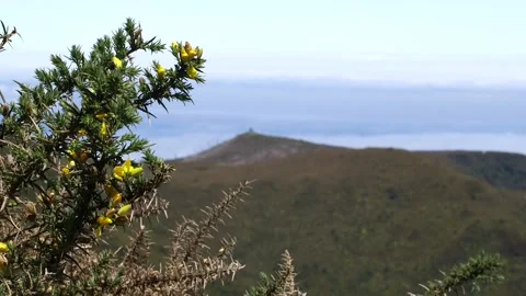 A view from Madeira Видео 142130189