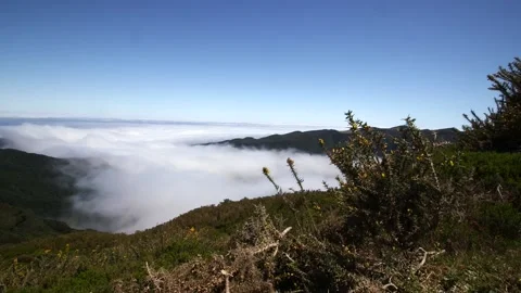 A view from Madeira Stock Footage 142130228