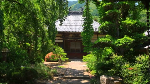 View of the Main Hall from the Sanmon Gate of Seirakuji Temple Видео 330502738