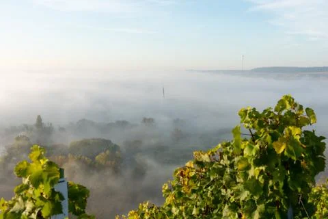 View onto Main river hardly visible through the fog Foto stock