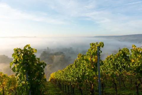 View onto Main river hardly visible through the fog Stock Photos
