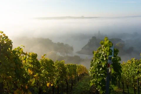 View onto Main river hardly visible through the fog Stock Photos