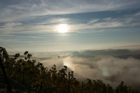 View onto Main river hardly visible through the fog Stock Photos