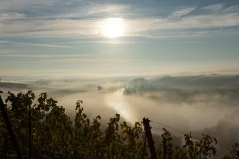 View onto Main river hardly visible through the fog Stock Photos