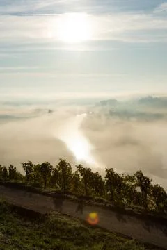 View onto Main river hardly visible through the fog Stock Photos