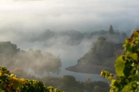 View onto Main river hardly visible through the fog Foto stock