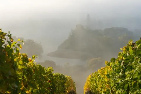View onto Main river hardly visible through the fog Stock Photos
