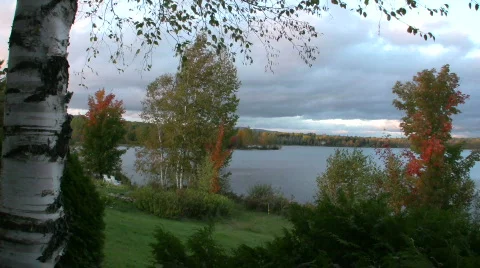 View of a Maine pond in fall Stock Footage 267772