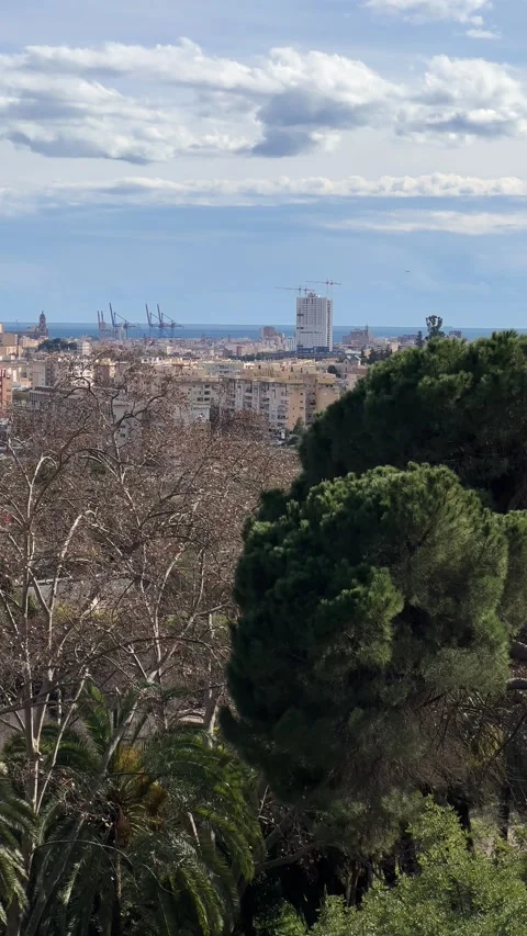View of Malaga city from La Concepcion botanical. Vertical video Stock Footage 240921934