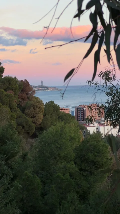 View of Malaga from Gibralfaro Castle observation deck at sunset. Vertical video Stock Footage 240920648
