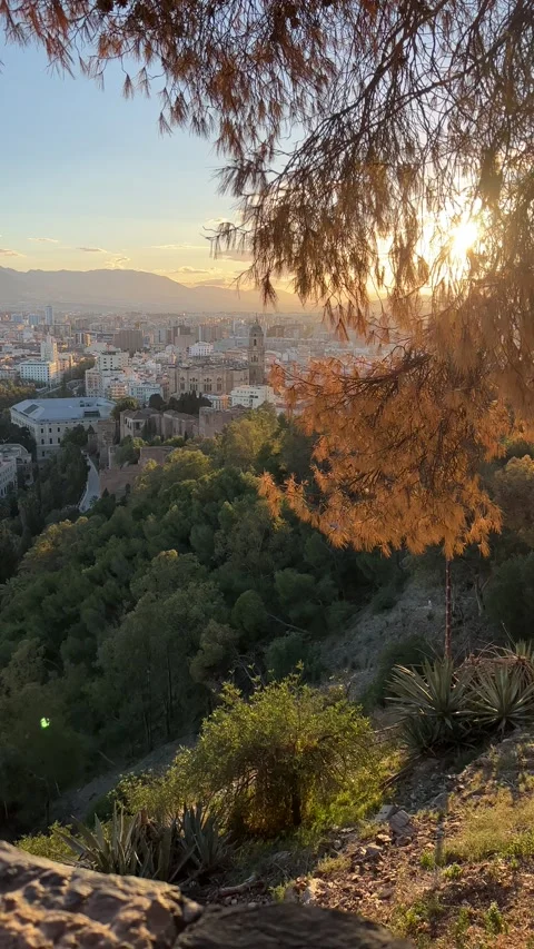 View of Malaga from Gibralfaro Castle Viewpoint at sunset. Vertical video Stock Footage 240919623