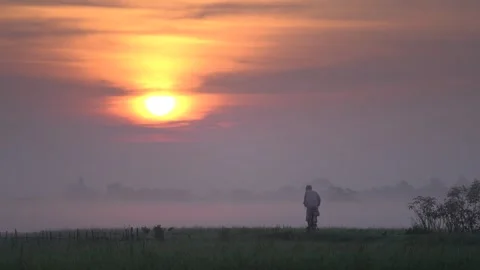 View of a man on a bicycle through misty fields at sunrise, Bangladesh. Video stock 335552949